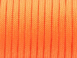 CAMPINGSKY Durable 550 Paracord Lanyard Tent Rope - 100feet (Other Colors Message)