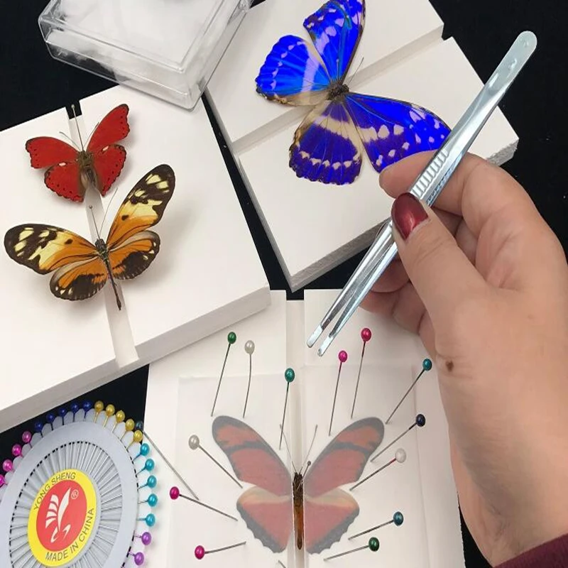 1pc Insect Spreading Board Experiment Tool Butterflies Specimen Display