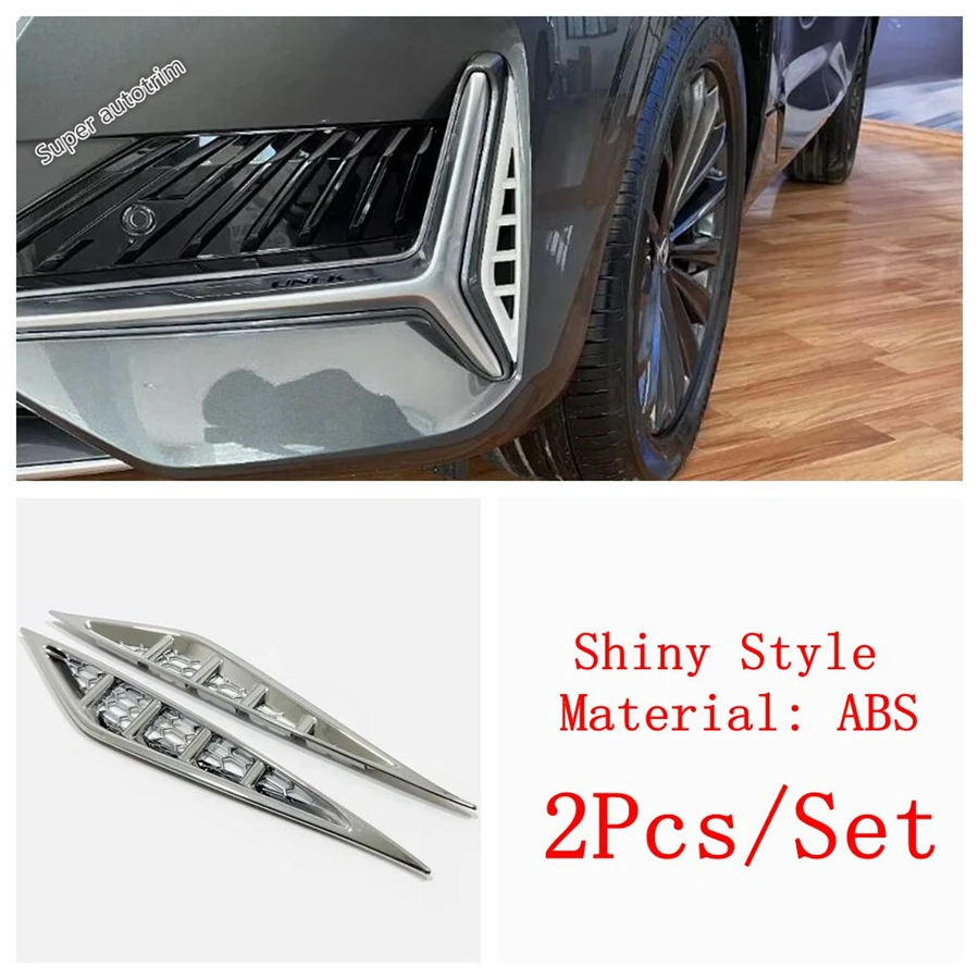 Shiny Style