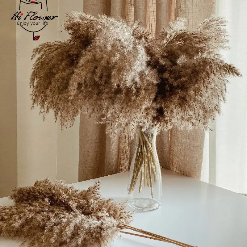 

20Pcs Natural Fluffy Pampas Grass Dried Flowers Bouquet Wedding Photo Props Decoration Reeds Pampa Artifical Flower Home Decor