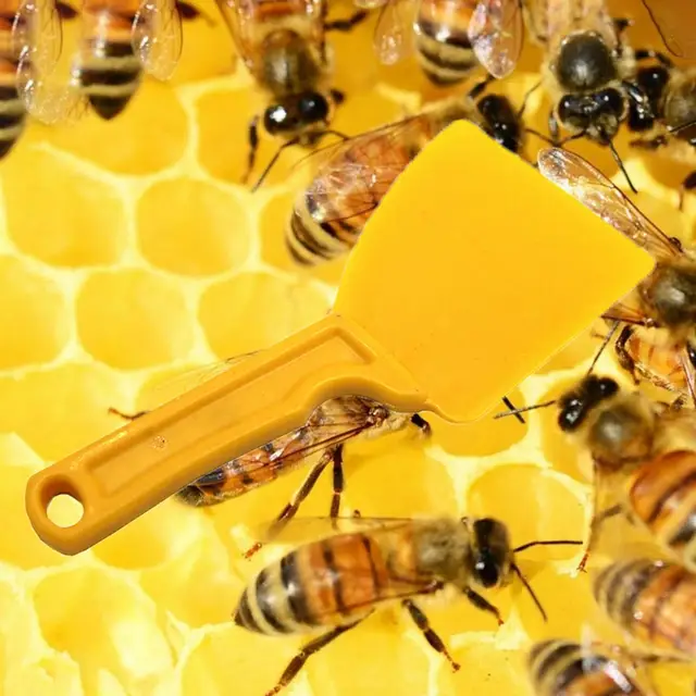 Professzionális Méhészeti Kaparó Többfunkció 23,5 Cm Mézes Villa Ajándékok A Barátok Családjának - Image 5