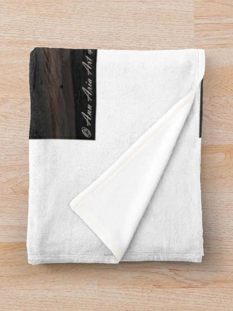 ������ ���� ���, �м� ���� ��� ���