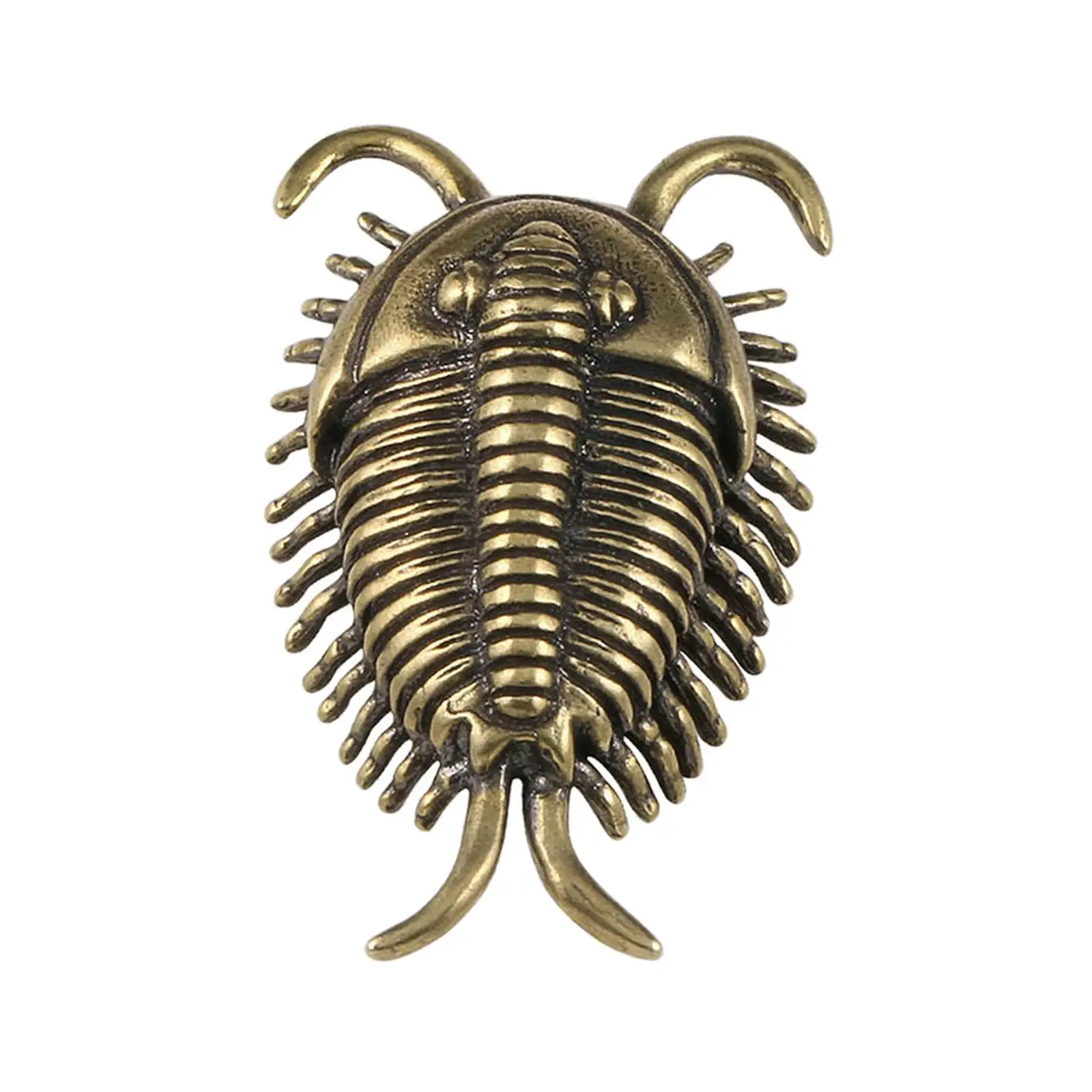 Trilobites Statua In Ottone Cambrian Artigianato Regalo Mini Figurina Trilobite Per La Decorazione Domestica Bagno Camera Da Letto Ufficio Soggiorno