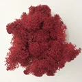 Red 2