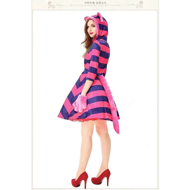 ̻  B-Alice ڽƬ ü  ڽ ǽ,  ̿ ҷ ڽƬ,  Ƽ Ʈ, θ-ڳ 