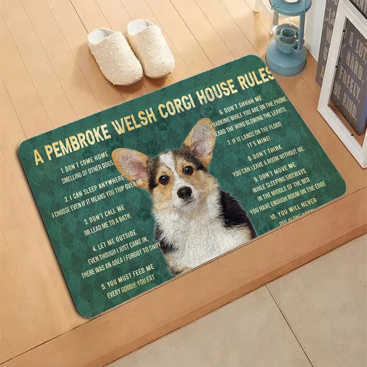 Home Alone Bedroom Pet 3d