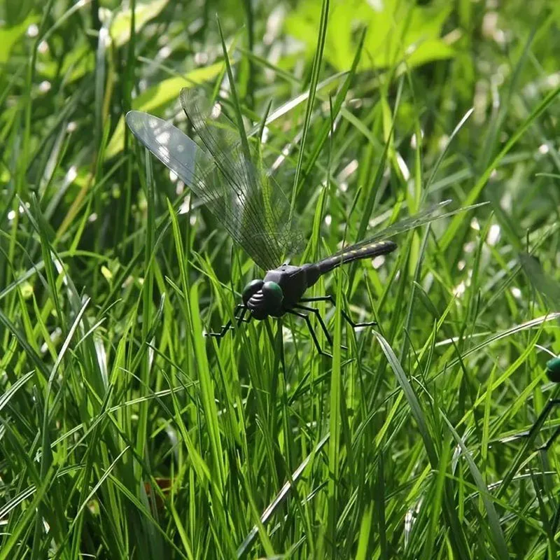 Slide image 2ea5092262544cfc82df85e14ebf6352