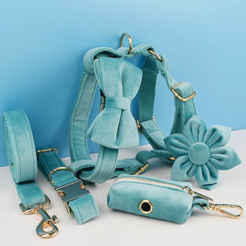 Türkisfarbenes Samt-Hundehalsband und Leinen-Set für Hunde, individuell graviertes Namensschild, Haustierbedarf, Hundeleine, Samt, 40