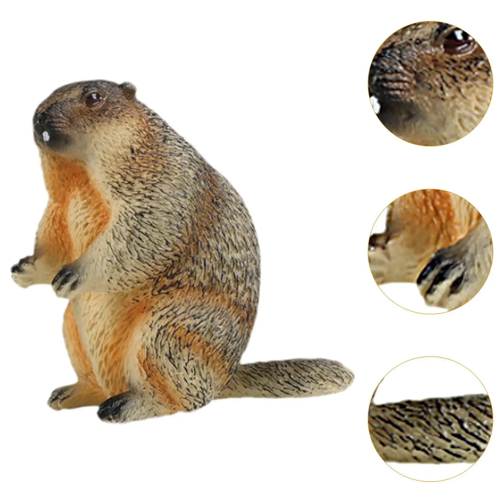 Groundhog Model Figure Cognitive Toy Miniature Crafts Simulation Desktop Ornament Educational for Boys Girls Children Kids
