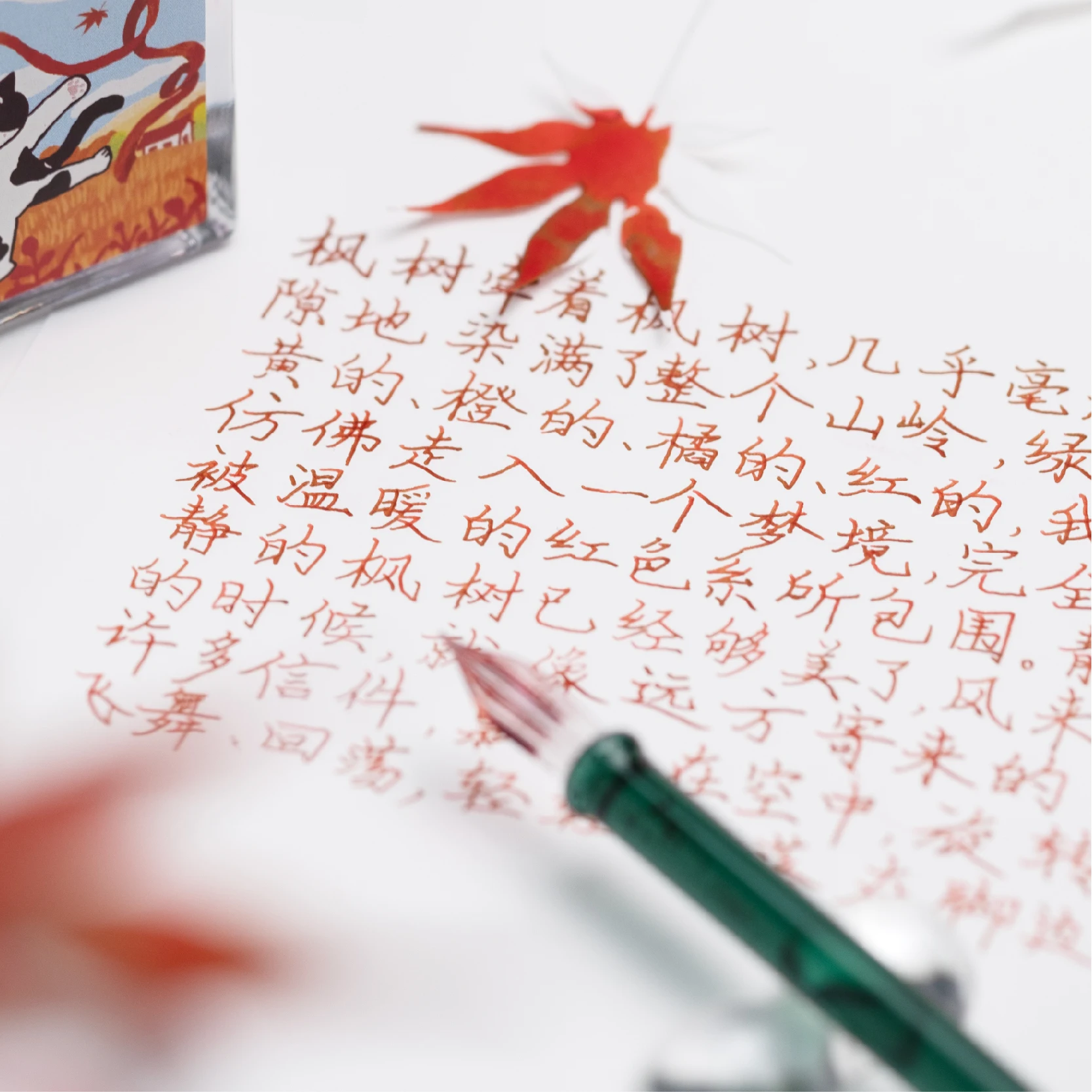 FANYANTAN 2025 가을 한정판 가을 여행용 만년필 잉크 50ml 비탄소 고양이 색상 잉크