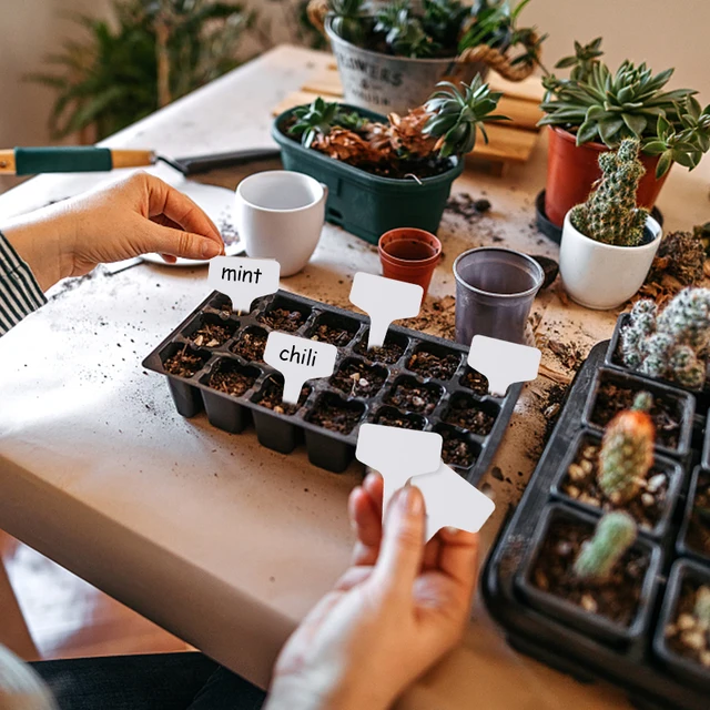 Etichette Per Piante Riutilizzabili - 100 Pezzi Con Pennarello, Per Orto, Giardino E Vasi - Foto 4