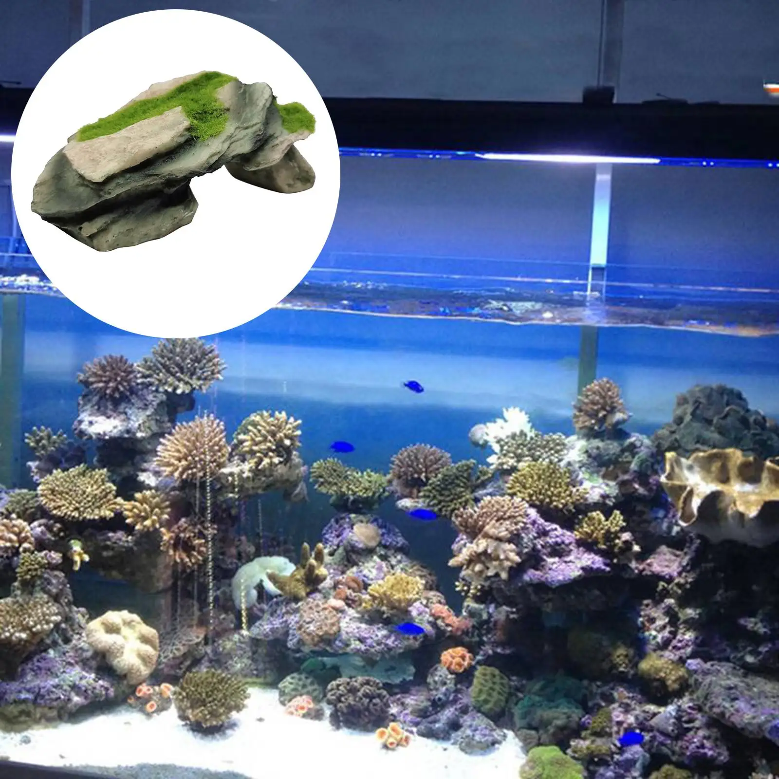 Reptile Hiding Cave Snake Turtle Hide Cave Resin Material Fish Tank Aquarium Landscaping Decoration Pet Supplies
