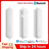 Tuya Roller Blind Robot Rechargable Automatic Curtain Motorised Shutter Opener Support Alexa Google Assistant Siri Voice Control