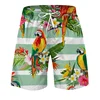 Parrot Palm Cocoanut Tree Beach Shorts Men Summer Short Pants 3D Flora Printed Board Trunks Swimsuit Woman 2023 homme Ice Shorts 2