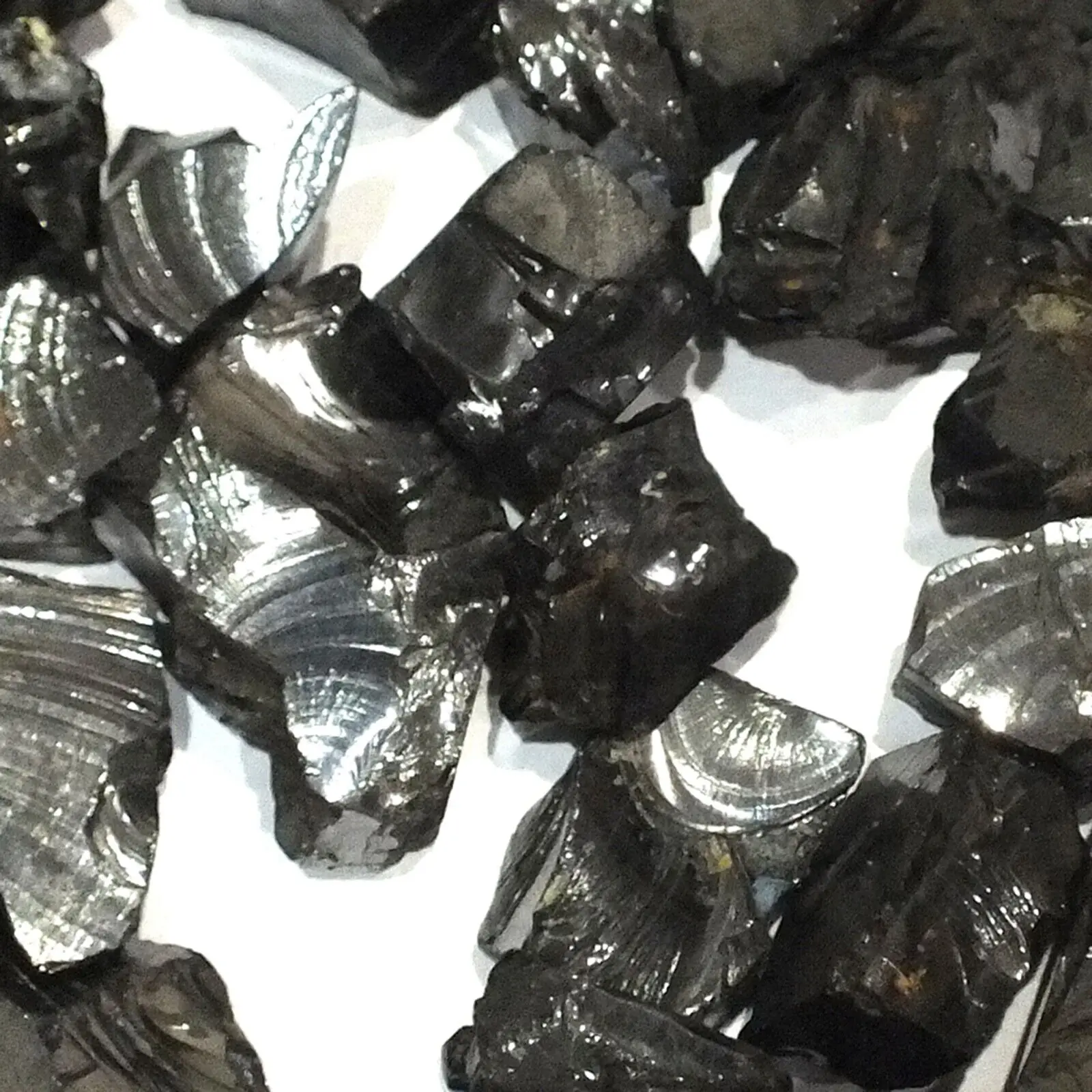 Shungite Elite Stones for Water Purification, 25 g of Silvery Shine Raw Elite Noble Shungite Detoxification Stones for Water Fil 2