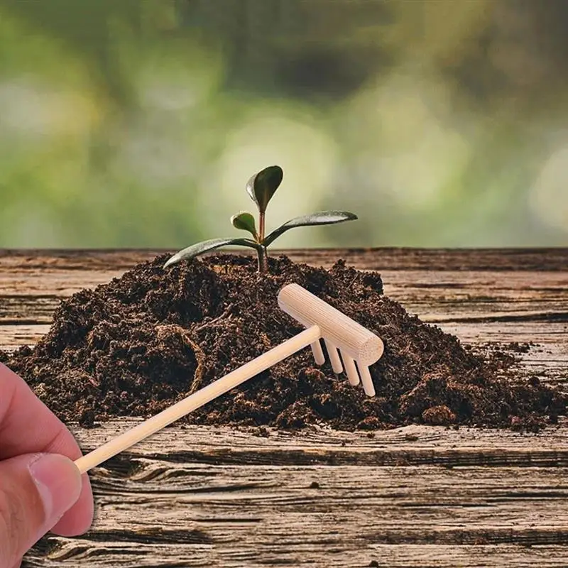 12pcs Mini Zen Garden Rake Tabletop Garden Sandbox Tools Desktop Decoration 5