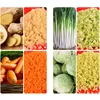 Vegetable Cutter Electric Vegetable Cutter Chili Mincing Machine Grinder Stainless Steel Food Processing Machine 100-130kg/h 5