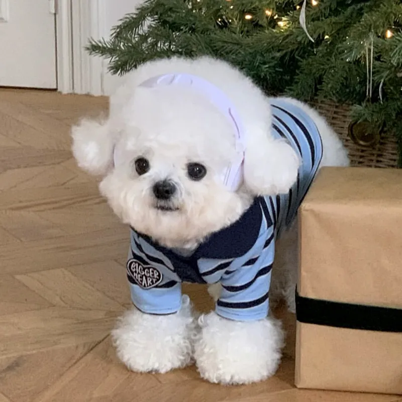 Maglietta Polo per Cani, Camicia Estiva a Righe con Colletto alla Moda per Cani e Gatti, T-Shirt per Animali Domestici, Gilet per Cani Chihuahua, Bichon, Bulldog Francese, Abbigliamento per Cani - immagine 4