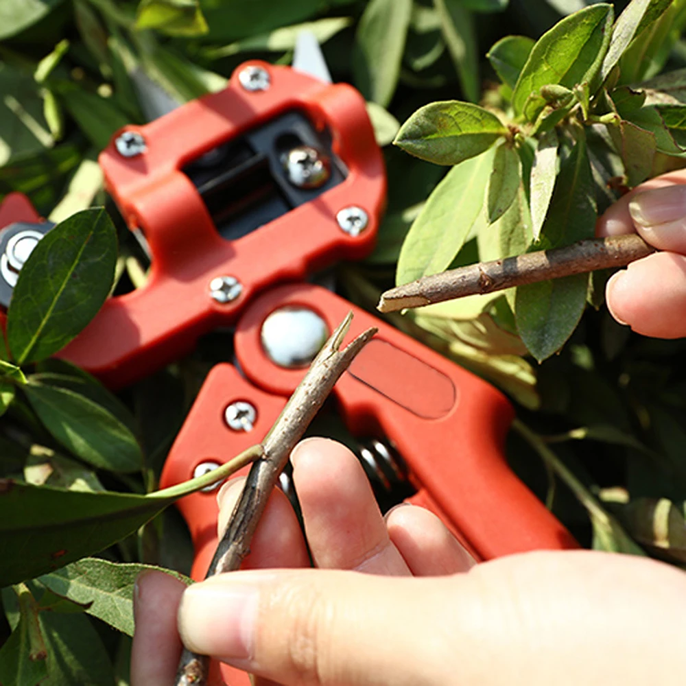 Attrezzo per innesto da giardino cesoie per innesto di alberi da frutto per piantine multifunzione macchina per innesto di potatura agricola in erba con cassetta degli attrezzi