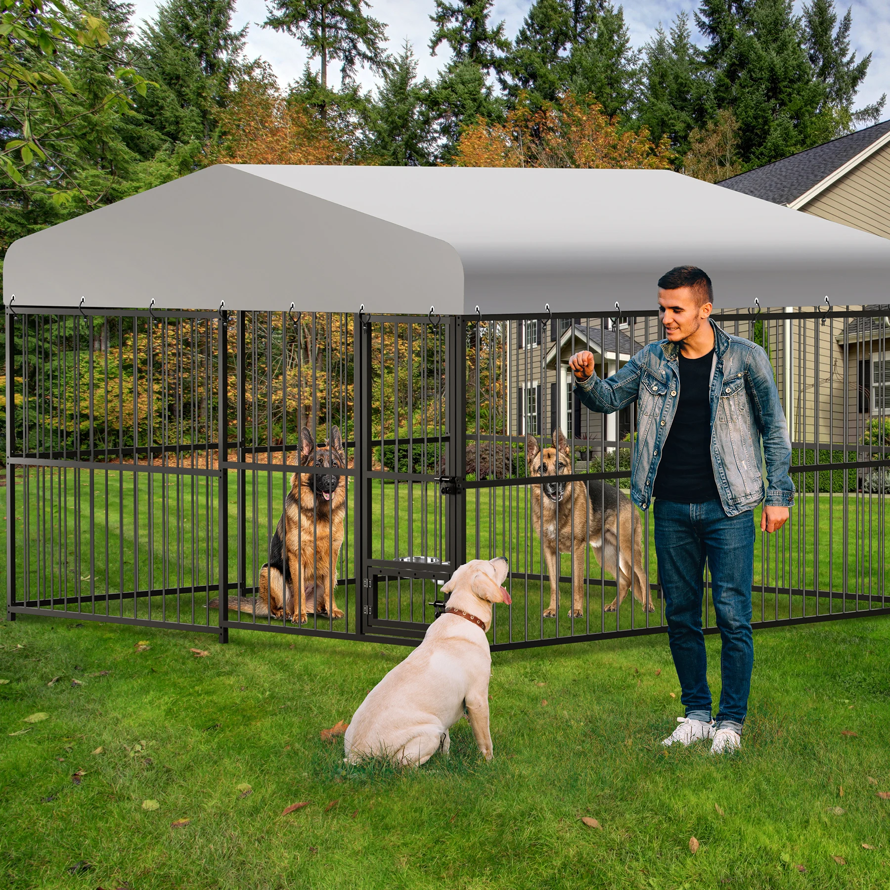 Large Outdoor Dog Kennel 1