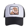 Lion White