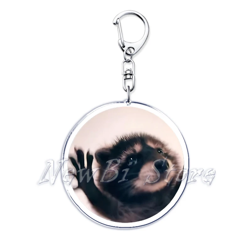 Porte-clés en Acrylique Mème de PhtalPedro Raccoon Mème, Mignon, Accessoires, Pendentif de Sac, Bijoux, GérGifts