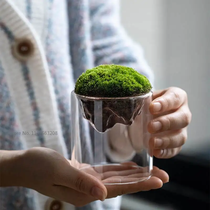 Hydroponic Vase Creative Mountain Shaped Moss Glass Bottle Vase