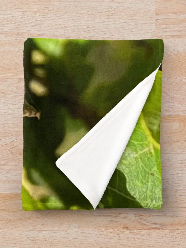 ������ ���丮 ������ ���, ���Ŀ� ���� ���� ���