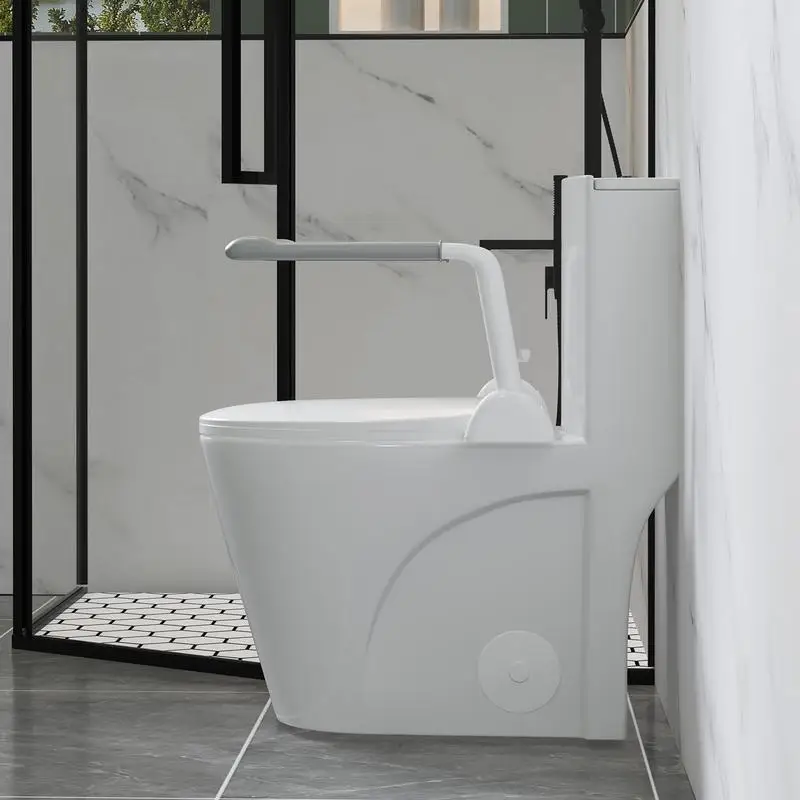 Comfort Height One Piece Toilet with Armrest