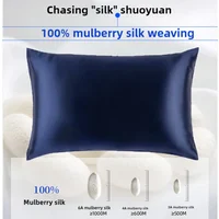 22 Momme 100% Natural Mulberry Silk Pillowcase for Hair and Skin Super Soft and Cooling。Envelope Closure 51x66CM 1