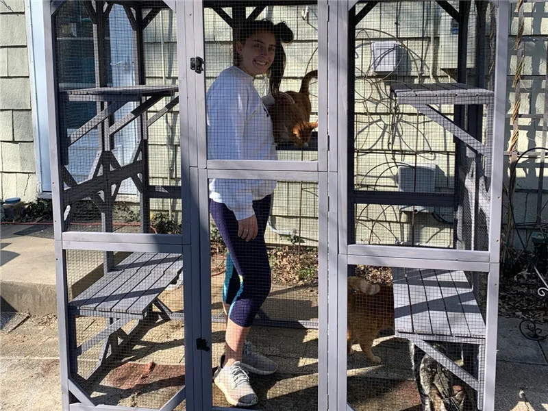 catio