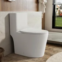 Dual Flush Elongated Standard One Piece Toilet with Comfortable Seat Height, Powerful & Quiet Dual Flush Modern Toilet 1