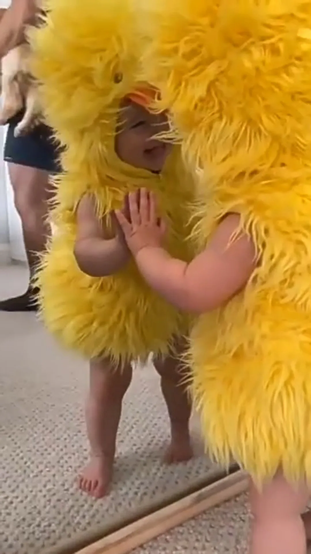 Baby Duck Costume Infant Toddler Fluffy Yellow Duckling Outfit with Hooded Hat Kids Halloween Carnival Party Jumpsuit