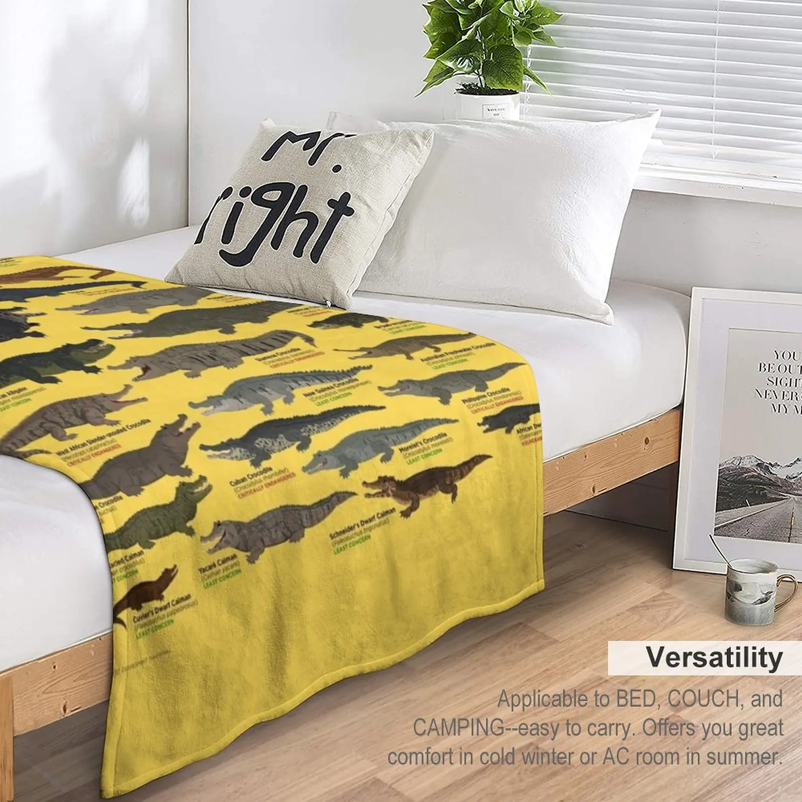 �Ǿ� ������ ���, ���� �̺�, ħ��� ���� �β��� ���