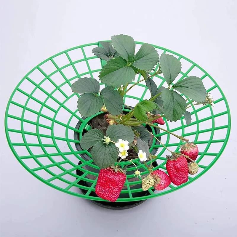 Plastic Plant Supports Plant Climbing Support Plant Support Racks Metal Plant Stand 5PC Strawberry Bracket