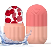 Moule à glaçons en silicone pour le visage, 1 pièce, pour la beauté et les soins de la peau, rouleau à glace pour le visage 1