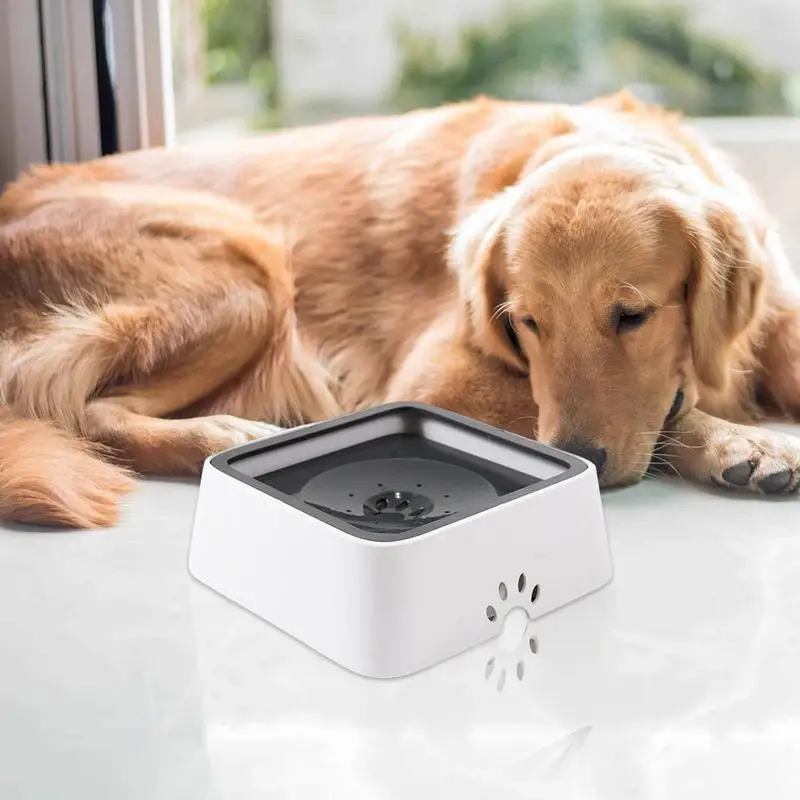 https://ae01.alicdn.com/kf/S09710ea86bb84551ba07a0ebb376dfe6T/Floating-Dog-Water-Bowl-84-54oz-Cat-Water-Bowl-No-Drip-Dog-Water-Bowl-No-Spill.jpg