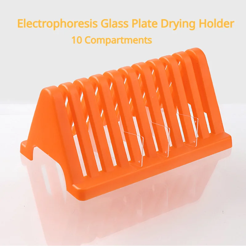 

Biosharp Electrophoresis Gel Plate Rack Glass Plate Drying Holder Electrophoresis glass plate drying rack (10 Compartments)