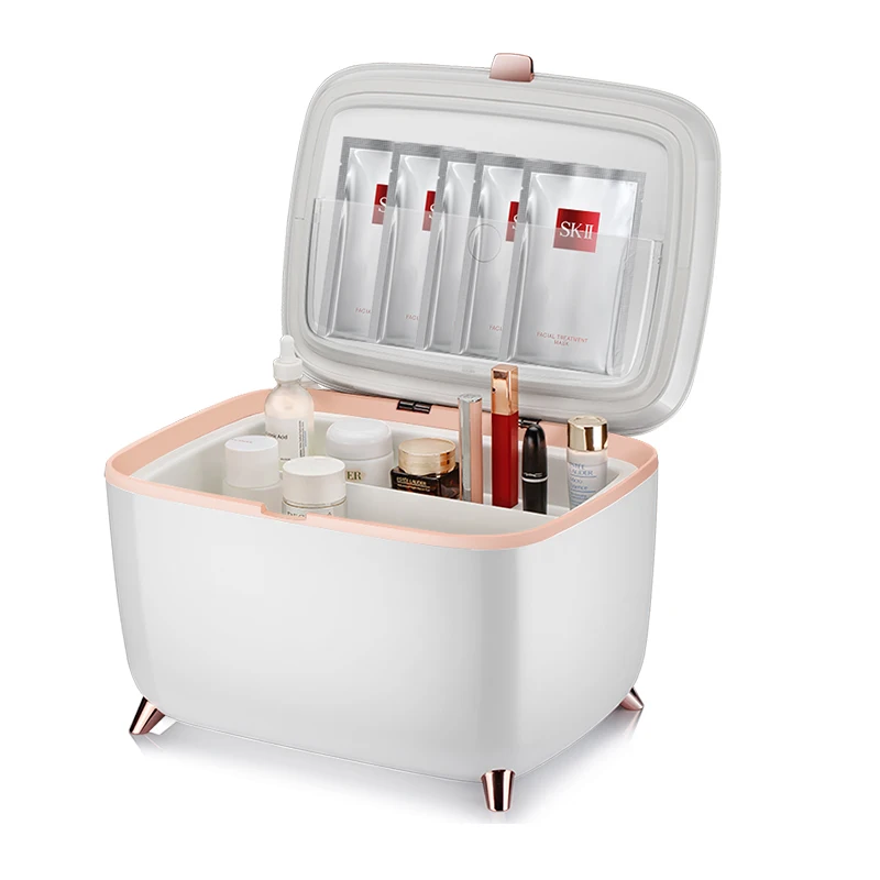 Mini Makeup Fridge with Constant Temperature, Portable Cosmetic Fridge for Skincare, Beauty refrigerator for Bedroom