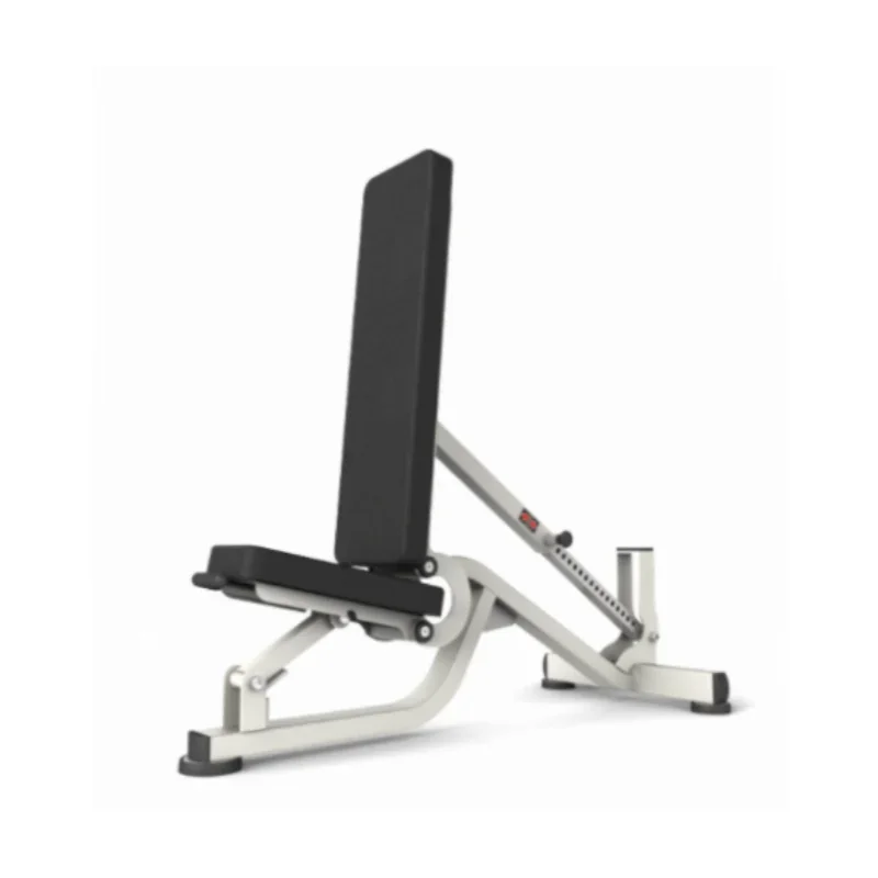 Adjustable Dumbbell Bench Multifunctional Gym Sit Up Bench Adjustable Dumbbell