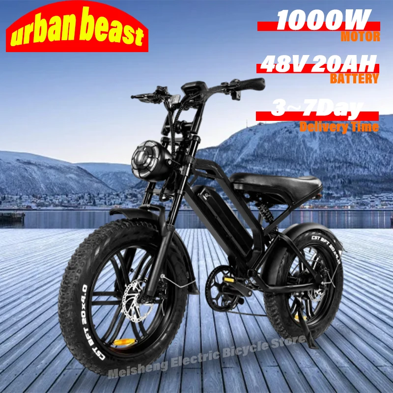 Ebike V20 1000W 48V20AH Back Seat Fat Tire Electric Bike Beach Cruiser Off-Road Adult Mountain