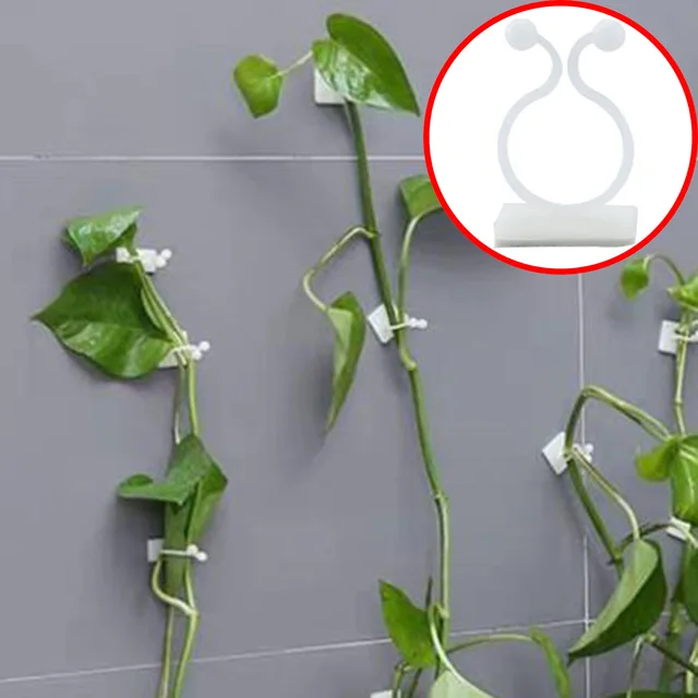 Növényi Hegymászó Fali Klipek Szőlő Csat Rögzítő Ön Adagoló Stent Láthatatlan Szőlőmászó Rögzített Konzol