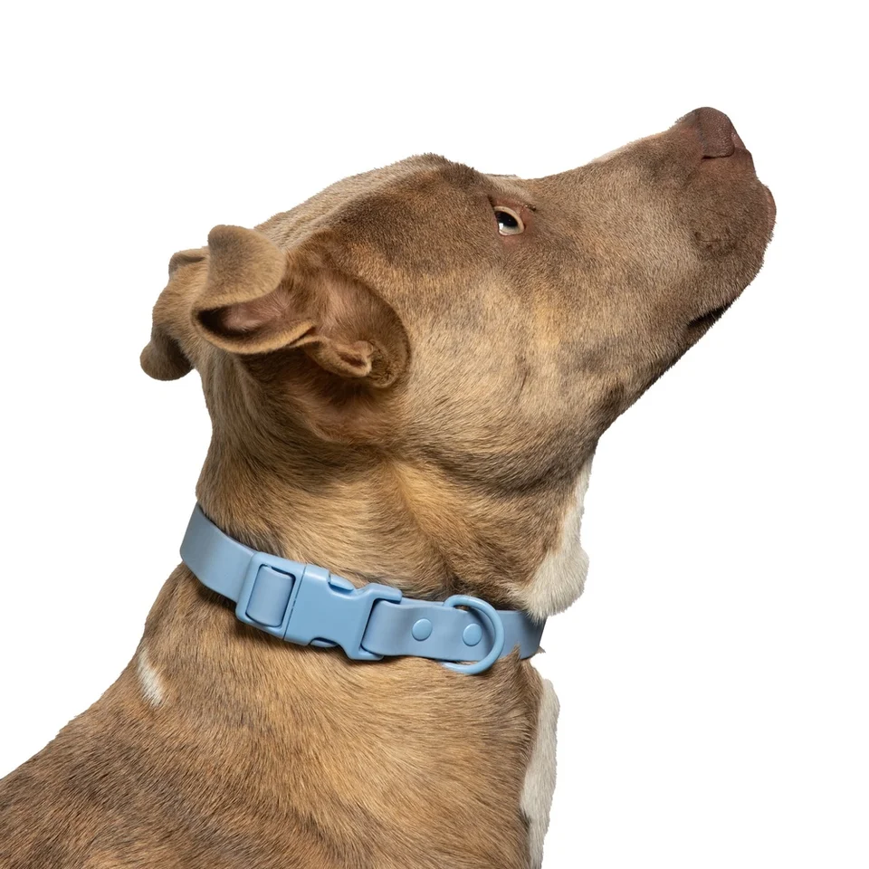 Water Odor Resistant Adjustable Nylon Dog Collar