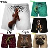 Summer Casual Animal Pattern Board Shorts For Men 3D Printed Men's Beach Shorts Streetwear Cute Funny Animal Shorts Hombre 1