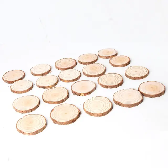 Natural Unfinished Wood Slices, 3-10 cm Rustic Wooden Log Discs DIY Round Wood  Disks Crafts