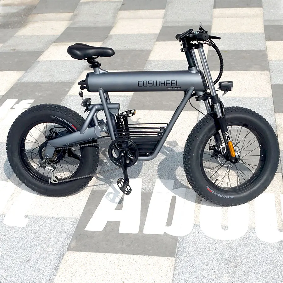 500w 48V 20Ah E Scooter Electric Motorcycles Electric Disc Brake Bicycle for Salecustom