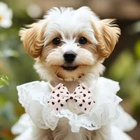 50pcs Dog Bow Tie Cute Fashion Dog Grooming For Small Dog Cat Bowties Neckties Dogs Pets Grooming Accessories For Small Dogs 2