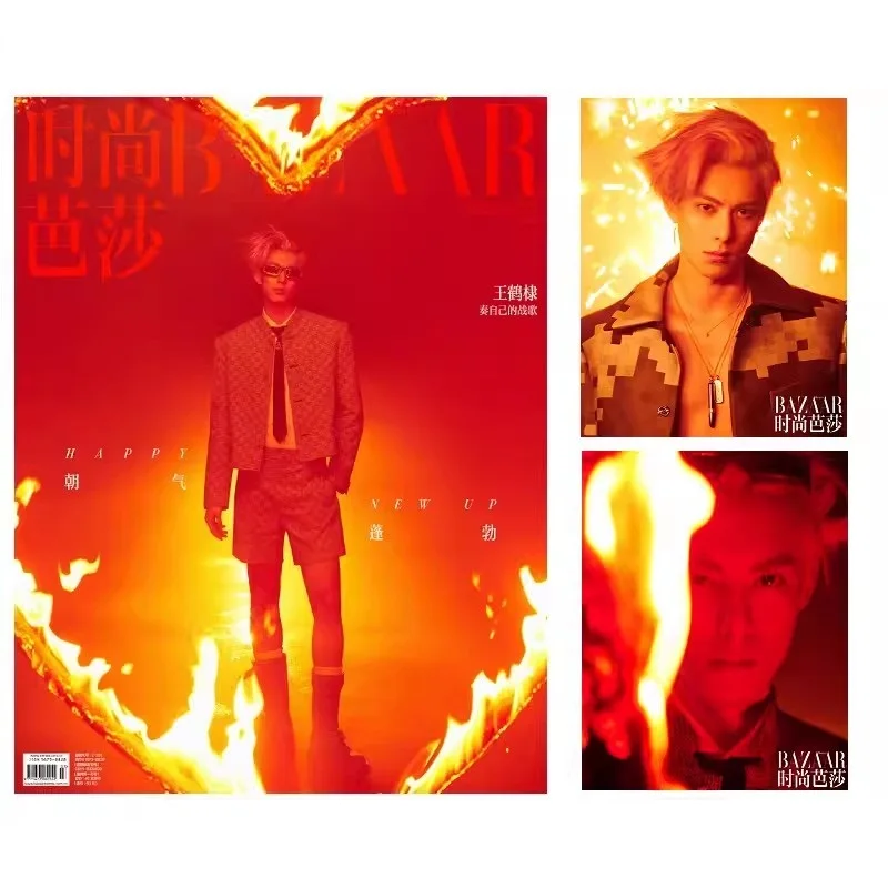 ♡お値下げ20000円引き中♡美品　原画 2024/02 Issue Wang Hedi Cover Harper's Bazaar Magazine Dylan