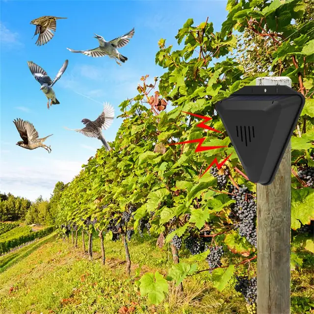 Madártaszító Napenergia Riasztás Állati Riasztók Taszító Madár Hang Lejátszás Kültéri Meghajtó A Vadállat Kerti Vezérlő Terméke - Image 2