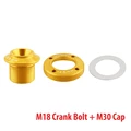 GLD Blot and Cap